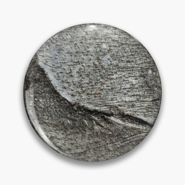 Item preview, Beech tree bark designed and sold by AdioraStore.