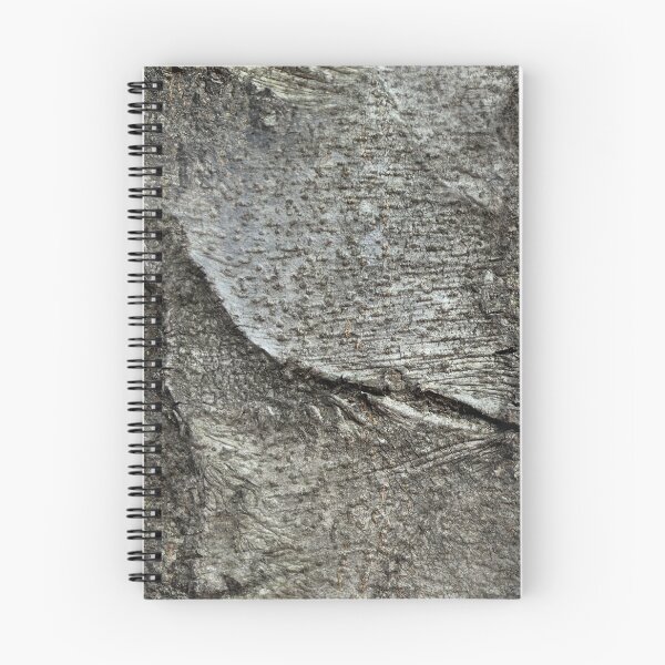 Item preview, Beech tree bark designed and sold by AdioraStore.
