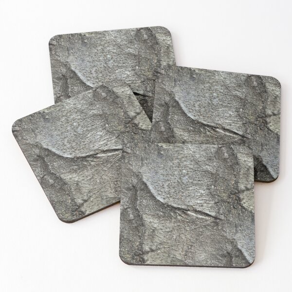 Item preview, Beech tree bark designed and sold by AdioraStore.