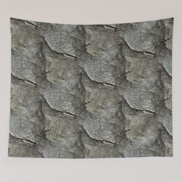 Item preview, Beech tree bark designed and sold by AdioraStore.