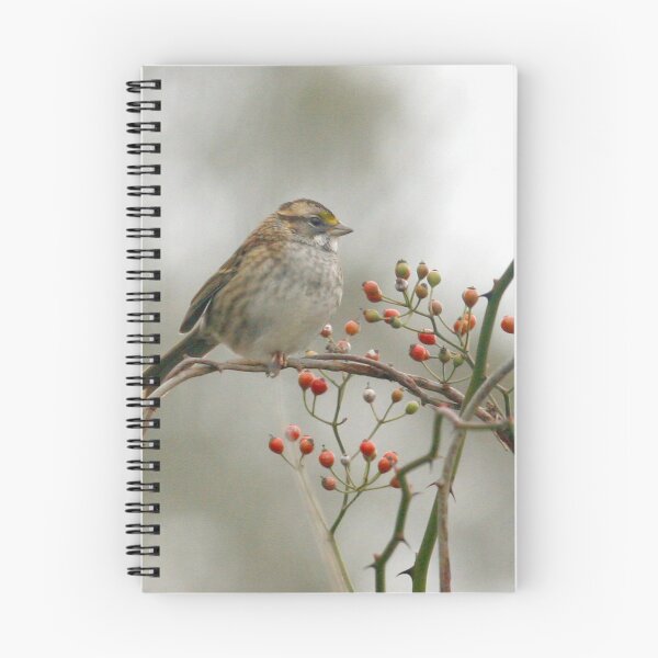 Item preview, White throated Sparrow designed and sold by Enola Gay Wagner.