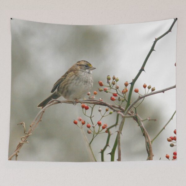 Item preview, White throated Sparrow designed and sold by Enola Gay Wagner.