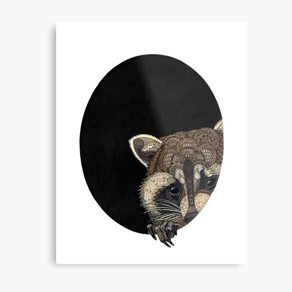 Socially Anxious Raccoon Metal Print