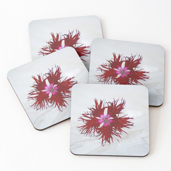 Item preview, Single Dianthus Flower. designed and sold by Billlee.