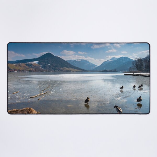 Aperçu de l'œuvre Canards sur Schliersee congelé, Bavière, Allemagne créée et vendue par Kasia Design.