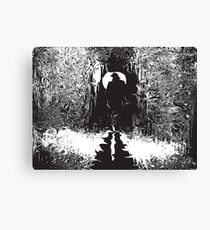 Psychedelic Shadows Canvas Print