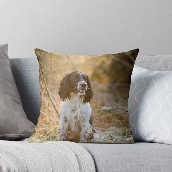Item preview, English Springer Spaniel 1 designed and sold by broomhillphoto.