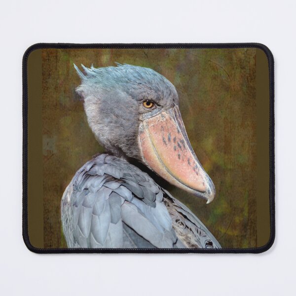 Item preview, Big Bird designed and sold by Savannah Gibbs.
