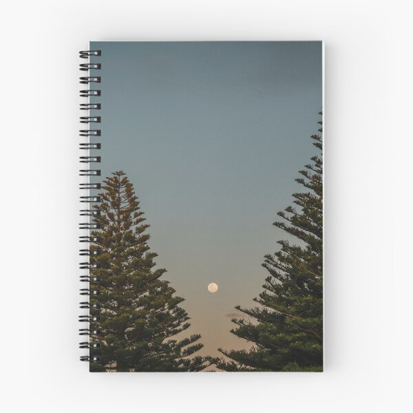 Aperçu de l'œuvre Moonrise Pines créée et vendue par Glenn Stephenson.