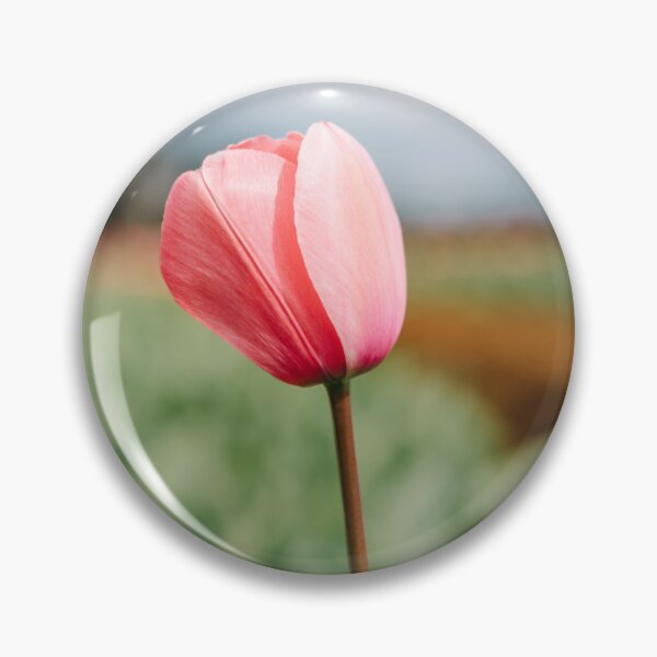 Artikelvorschau, Rosa Tulpe entworfen und verkauft von Glenn Stephenson.