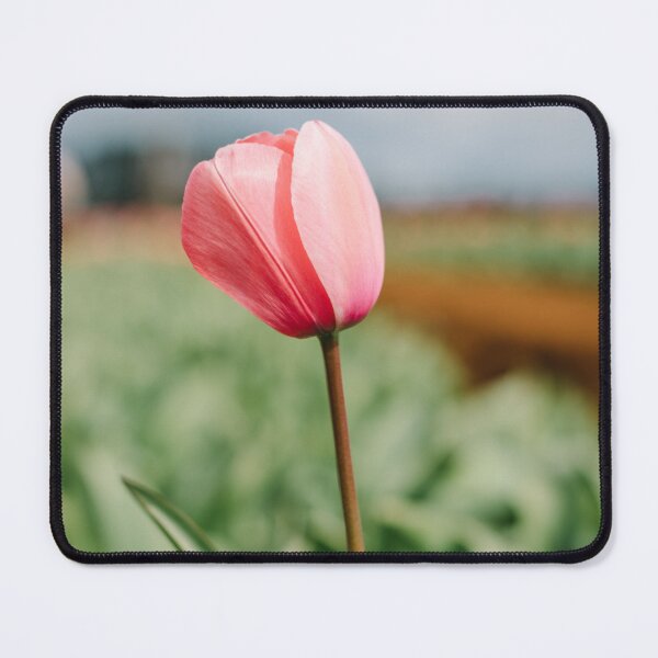 Item preview, Pink Tulip designed and sold by Glenn Stephenson.