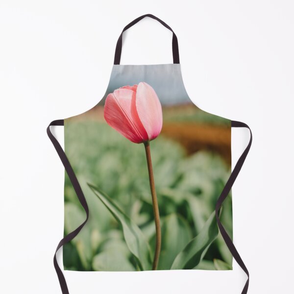 Aperçu de l'œuvre Tulipe rose créée et vendue par Glenn Stephenson.