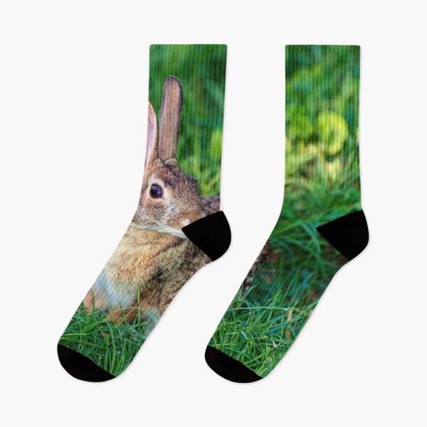 Item preview, Fluffy bunny in the grass designed and sold by noblephoto.
