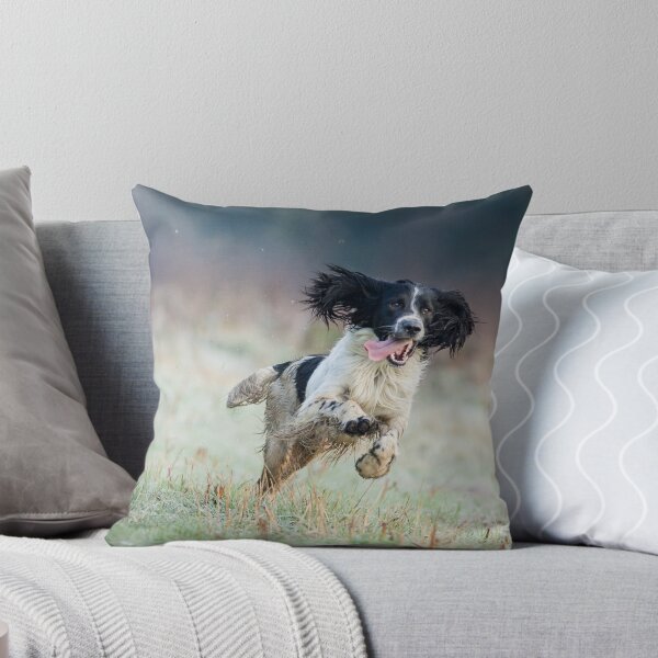 Item preview, English Springer Spaniel 4 designed and sold by broomhillphoto.