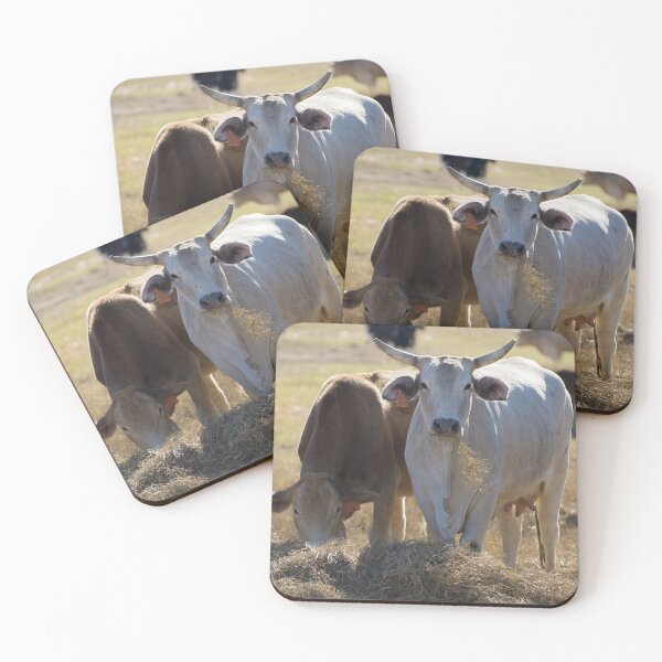 Item preview, Heifers got horns too designed and sold by noblephoto.