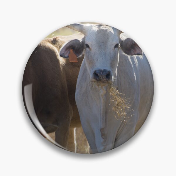 Item preview, Heifers got horns too designed and sold by noblephoto.