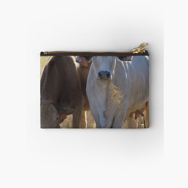Item preview, Heifers got horns too designed and sold by noblephoto.