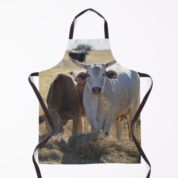 Item preview, Heifers got horns too designed and sold by noblephoto.
