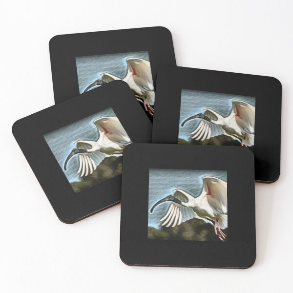 Item preview, IBIS water colour painting, Australian White Ibis, bin chicken, water bird, wetland bird,  designed and sold by OptimysticGifts.