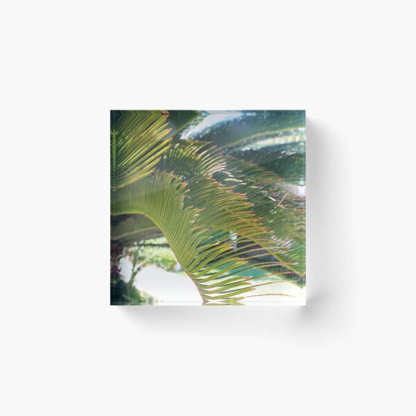 Item preview, Palm Tree designed and sold by Lydia Planalp.