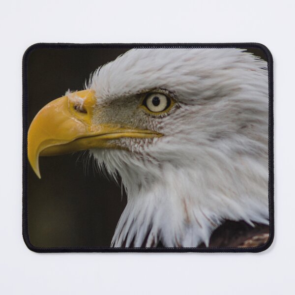 Item preview, Bald Eagle designed and sold by MariaJoseMyArt.