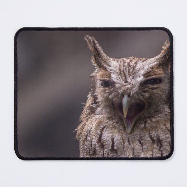Item preview, Tropical  Screech-Owl designed and sold by MariaJoseMyArt.