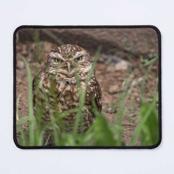 Item preview, Burrowing Owl designed and sold by MariaJoseMyArt.
