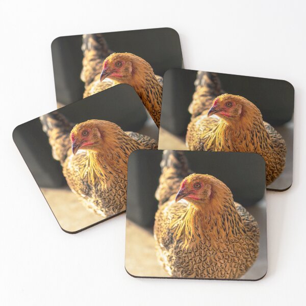 Item preview, Backyard Chicken giving you the side eye designed and sold by noblephoto.