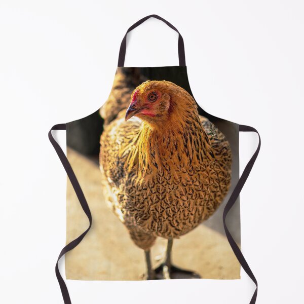Item preview, Backyard Chicken giving you the side eye designed and sold by noblephoto.