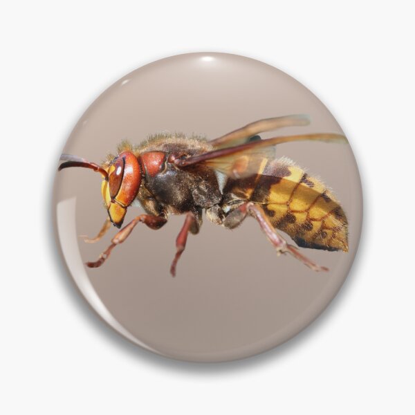 Item preview, European Hornet designed and sold by RainbowSpinkle.