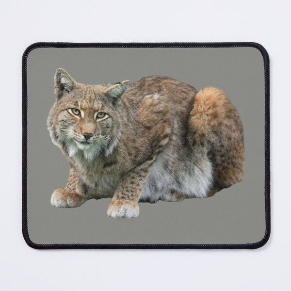 Item preview, Lynx Cat designed and sold by RainbowSpinkle.