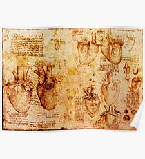 Heart And Its Blood Vessels, Leonardo Da Vinci Anatomy Drawings, Brown Poster