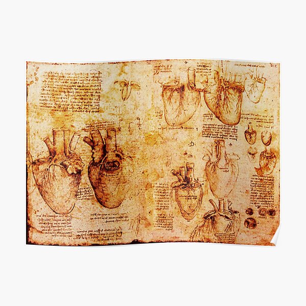 Heart And Its Blood Vessels, Leonardo Da Vinci Anatomy Drawings, Brown Poster