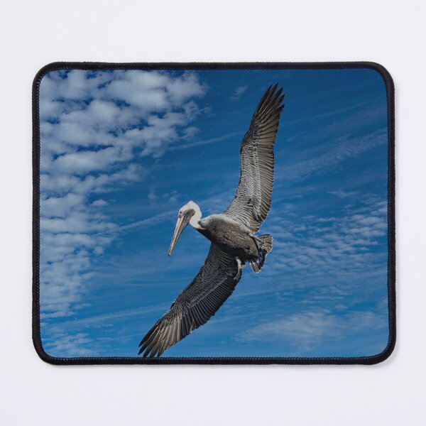 Item preview, Pelican Flying Reconnaissance designed and sold by ShorelineImages.