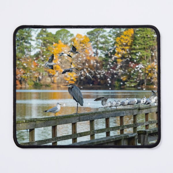 Item preview, Great Blue Heron, King of the Pier designed and sold by ShorelineImages.