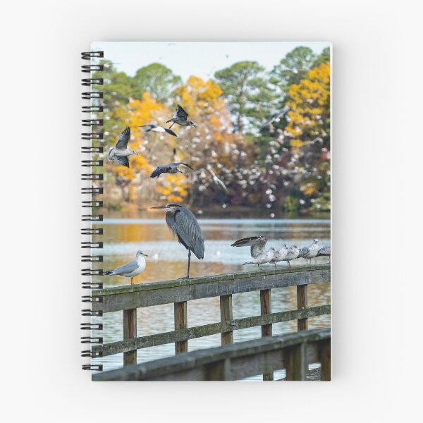 Item preview, Great Blue Heron, King of the Pier designed and sold by ShorelineImages.
