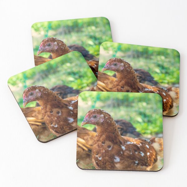 Item preview, young Rhode Island Red chicken designed and sold by noblephoto.