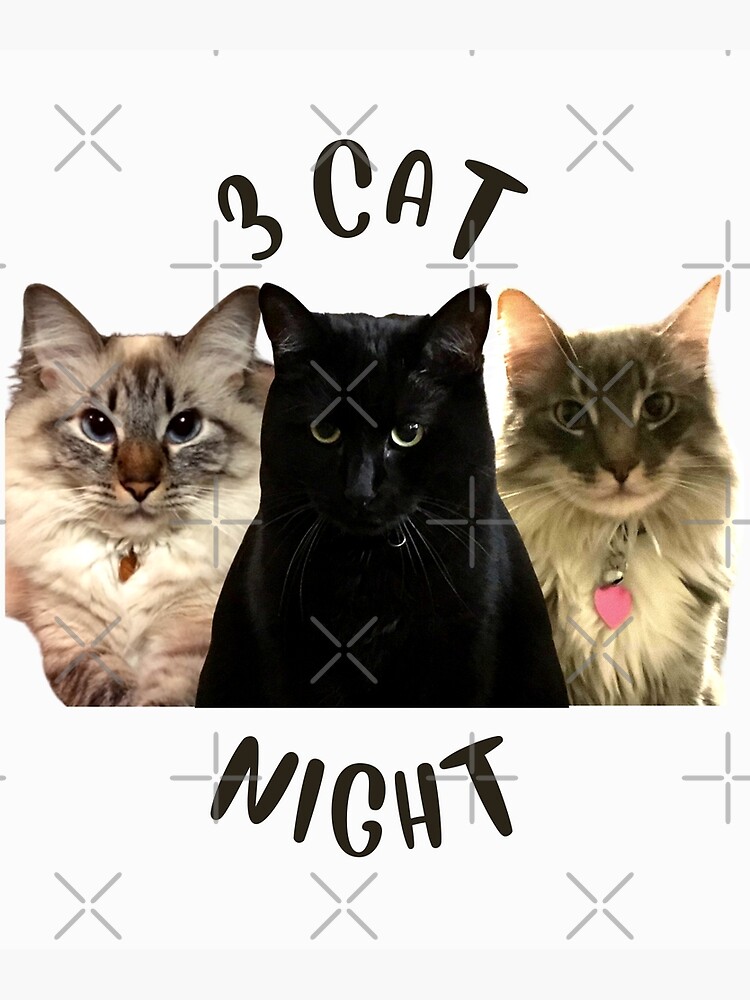 Catnight