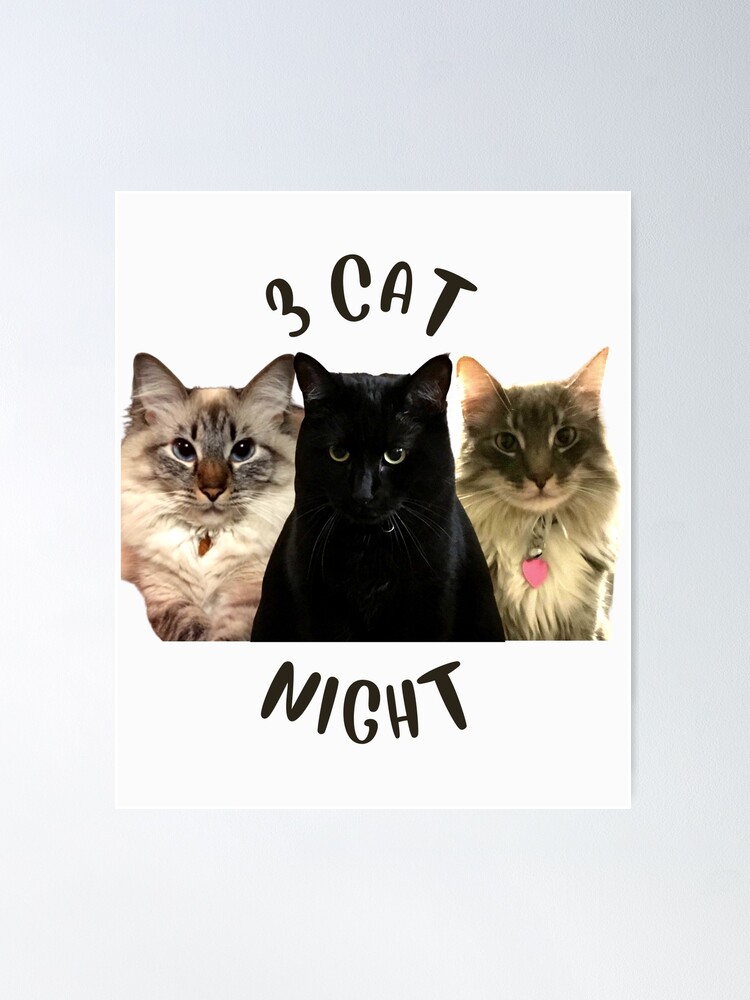 Catnight