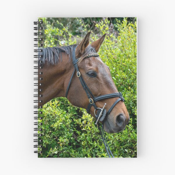 Artikelvorschau, Benson-Porträt entworfen und verkauft von Oakwood Riding School.