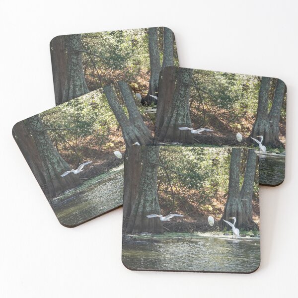 Item preview, Egret Performs a Baptism for Three Ducks designed and sold by ShorelineImages.