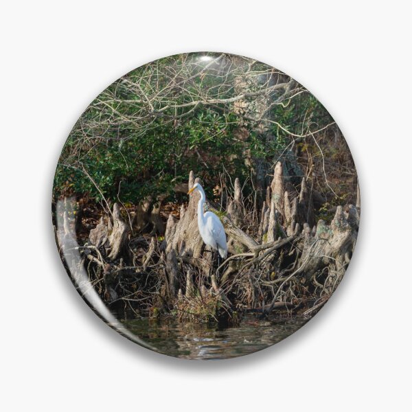 Item preview, Great Egret Waiting for a Fish designed and sold by ShorelineImages.
