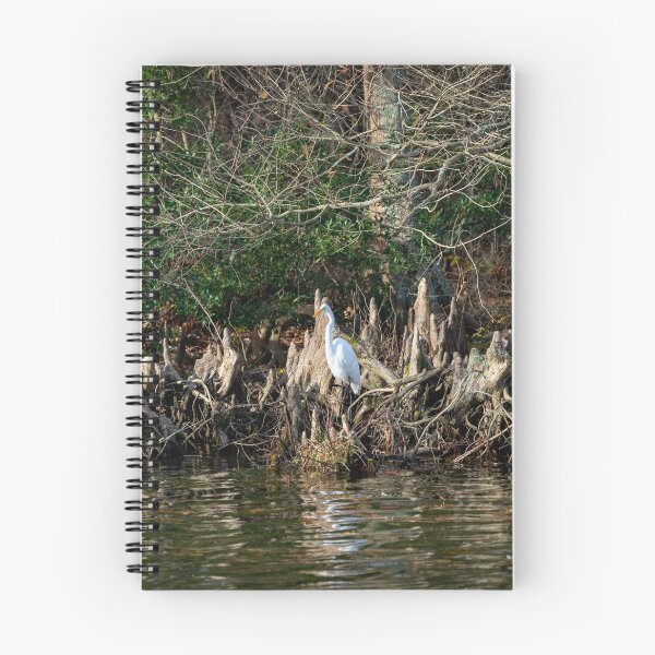 Item preview, Great Egret Waiting for a Fish designed and sold by ShorelineImages.
