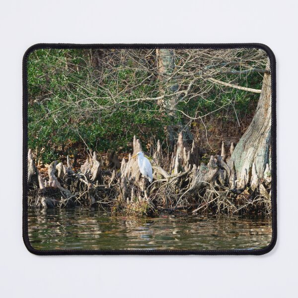 Item preview, Great Egret's Knobby Knee Refuge designed and sold by ShorelineImages.
