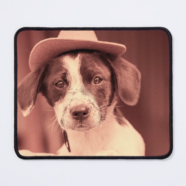 Item preview, Wanted for not paying bar tab designed and sold by noblephoto.