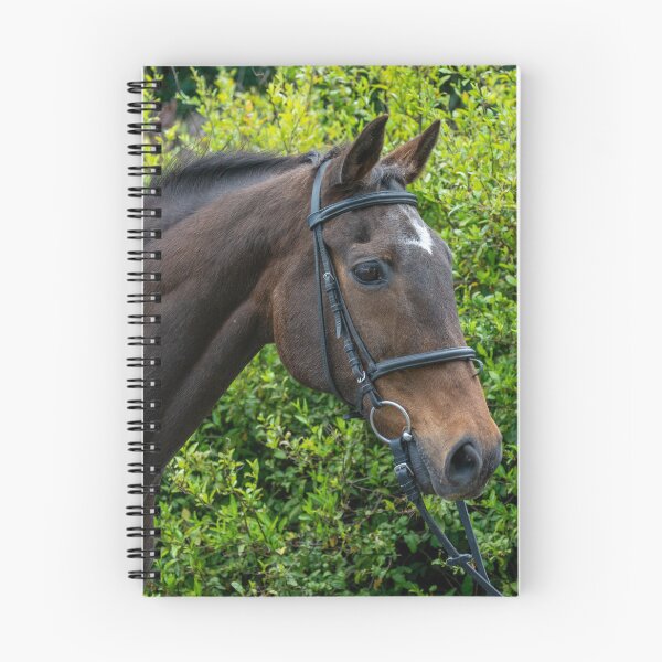 Item preview, Jay Portrait designed and sold by Oakwood Riding School.