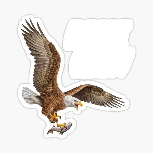 Eagle Claw Europe