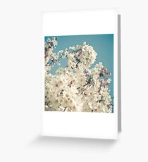 Buds in May Greeting Card