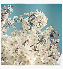 Buds in May Poster
