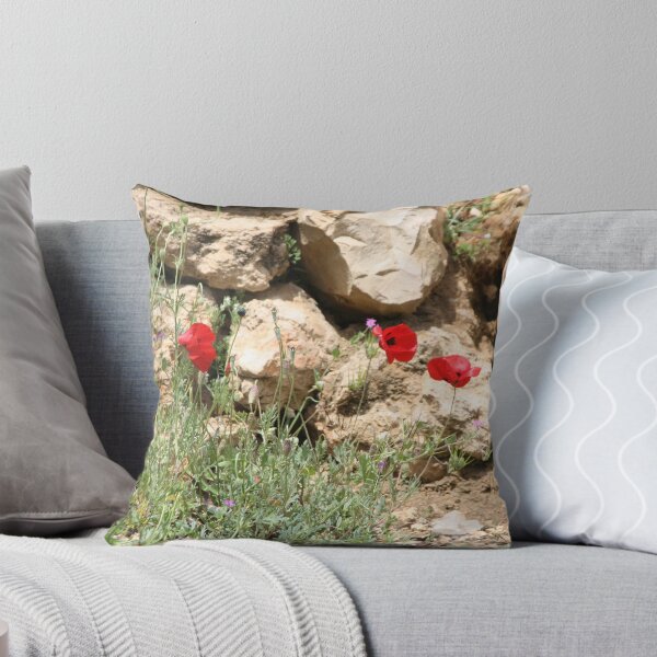 Aperçu de l'œuvre Coquelicots rouges, Jérusalem créée et vendue par csinger.